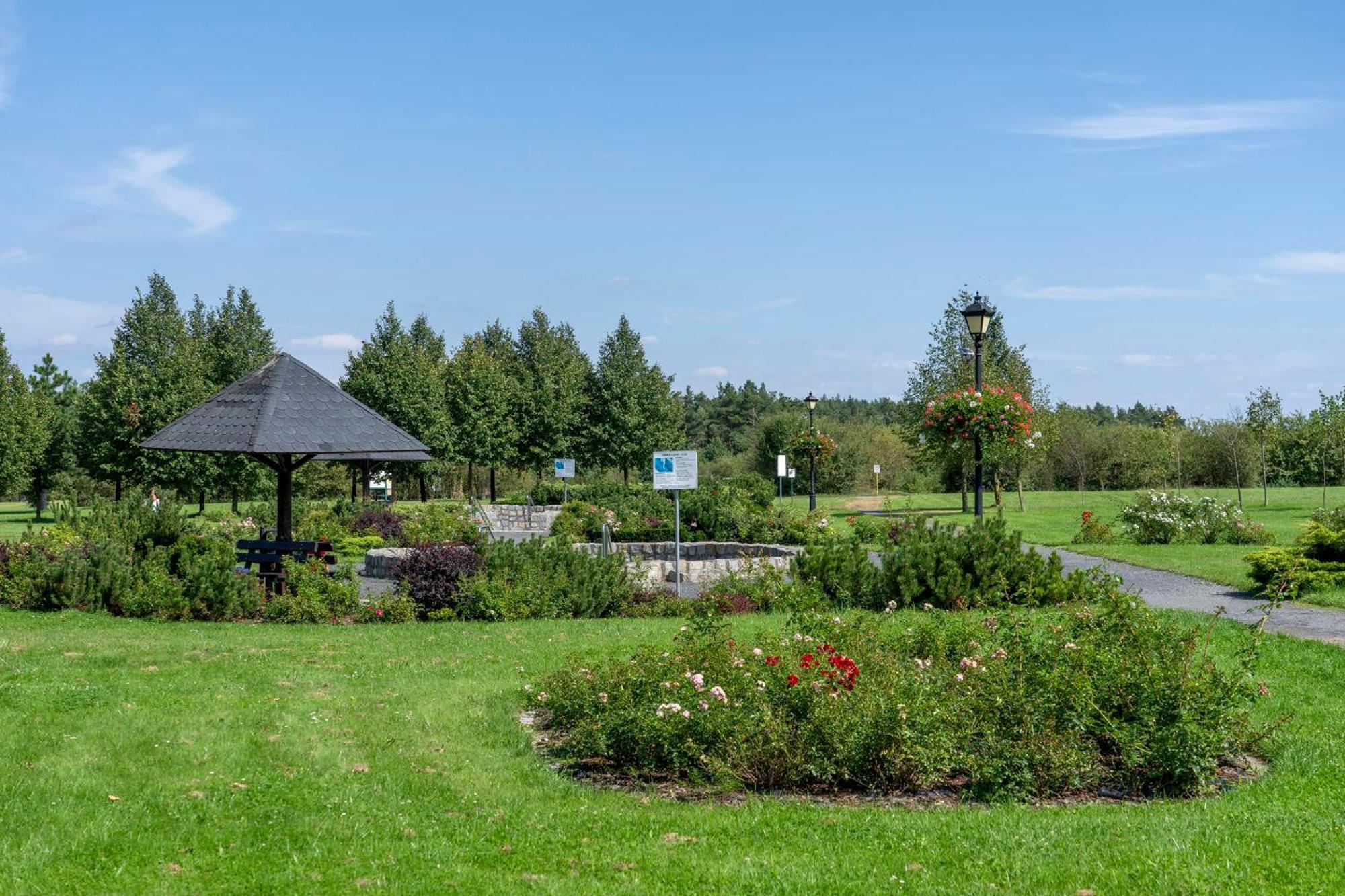 Hotel Aviator Kamien Slaski Εξωτερικό φωτογραφία